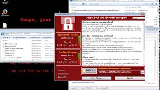 Ransomware WannaCry en acción | Datos cifrados