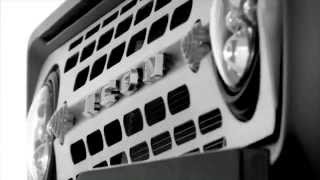 ICON BR Short and Fun