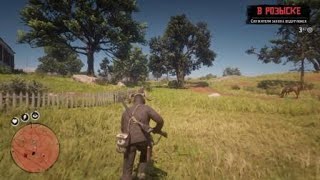 Red Dead Redemption 2 дом 1000 трупов)