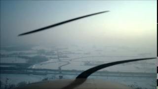 WINGS
