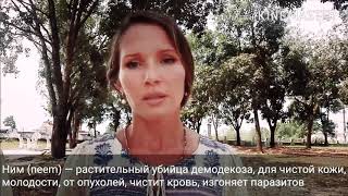 Ним Гималаи, отзыв - Аюрведа для лечения  демодекоза и розацеа