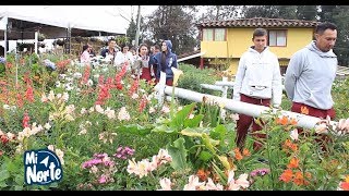 Mi Norte #136  VISITA A LA FINCA SILLETERA "LOS LONDOÑO"