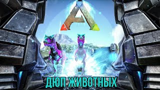 КЛОНИРОВАНИЕ ЖИВОТНЫХ В АРКЕ БЕЗ ЭЛЕМЕНТА(ДЮП) КАК ПРАВИЛЬНО ДЮПАТЬ В АРКЕ НА PS4. THE EASY DUPE