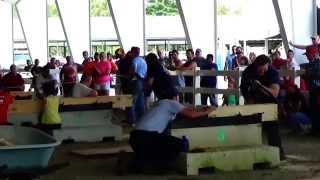 Woodsmen Championship Day Video (Part-18)