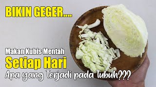 JANGAN COBA-COBA... RUTIN MAKAN KUBIS MENTAH, INILAH AKIBATNYA PADA TUBUH ANDA