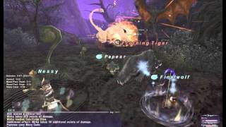 FFXI Delve Fracture Kamihr Drifts (5 NMs + Utkux)