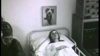 Diesel Dreams - Dream laboratory