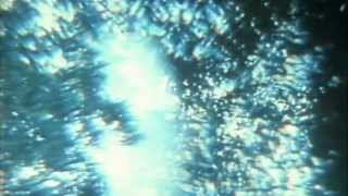 HṚṢṬA ~ Hechicero Del Bosque