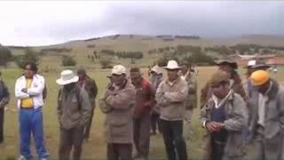 ARANI VACAS