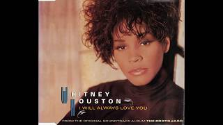 Whitney Houston - I Will Always Fuck ♂ You (RIGHT ♂ VERSION)