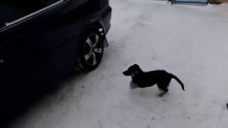 Регулировка фар Opel Vectra B