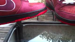 Nike SB Red Lobster Shoe Review w/ on foot