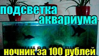 ПОДСВЕТКА АКВАРИУМА НОЧНИК ЗА 100 РУБЛЕЙ СВОИМИ РУКАМИ