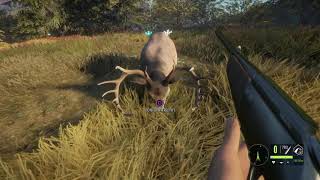 ULTIMATE MONEY GLITCH the Hunter Call of the Wild