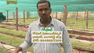 T NEWS CHENU CHELAKA PROGRAM ON Gopal vegetable Nursery- PART-01