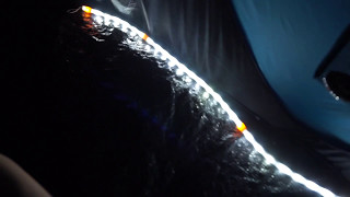 LED STRIP FOR YOUR TENT!