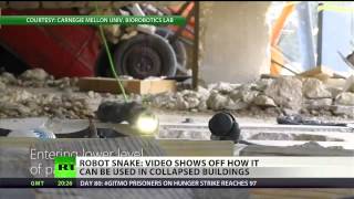 US Army finances 'robotic snakes'