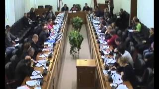 Проблемы миграции в Москве (Ширшов К.В.)