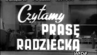PKF 1949 42