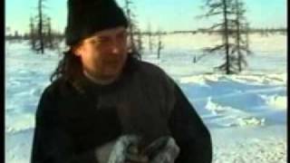 С ДНЕМ АВТОМОБИЛИСТА ТАРКО САЛЕ