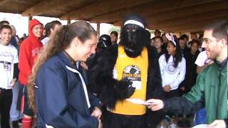 Get the Gorilla: Team, Costume, & Centipede Awards