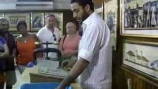 How to make Papyrus paper