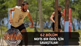 Tas kebabı ve patates püresi için yarıştılar! | 62. Bölüm | Survivor 2018