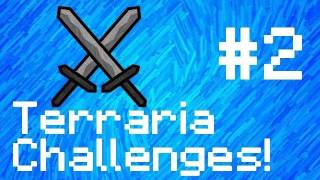 Terraria - Challenges: Episode Two - Massive horde of zombies!