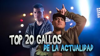 Top 20 MEJORES GALLOS ACTUALMENTE