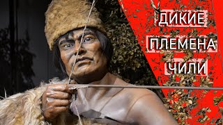 Жизнь индейцев и бобров в морозах Огненной Земли