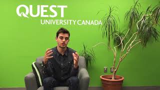 Dancing Bear Music & Arts Festival Q & A