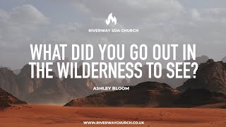 'What did you go out in the wilderness to see?' - Ashley Bloom