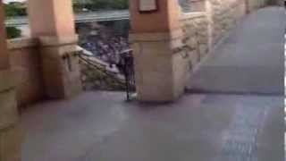 ミラコスタからディズニーシー アーリー入場のできるノースゲート