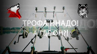 РР4! RF4! Русская Рыбалка 4! Ну половим рыбу?)