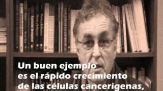 Escuchen lo que dice este señor