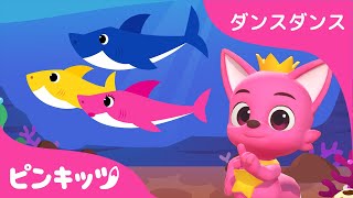 サメのかぞく | 3Dリトミックダンス | ピンキッツとホギといっしょにおどろう！ | ダンスダンス | 子供のうた | 人気童謡 | ピンキッツ！