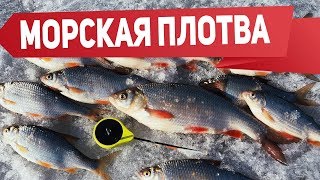 Ловим плотву зимой на мормышку! Безмотылка не спасла | Рыбалка с FishingSib 2019