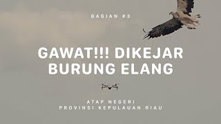GUNUNG DAIK - SEPINCAN - Atap Negeri Kepulauan Riau #3