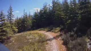 Mountain Biking in Scotland - Moray monster trails - Ben Aigan Hammer
