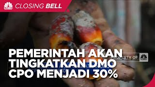Pemerintah Akan Tingkatkan DMO CPO Menjadi 30%