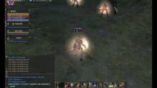 Lineage 2 Skofild pvp