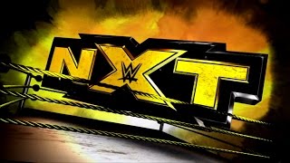 My Top 20 - WWE NXT Superstars Theme Songs (May, 2017 Roster)