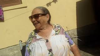 Maria irene rui amorim david babin