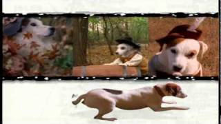 Wishbone - Intro español latino