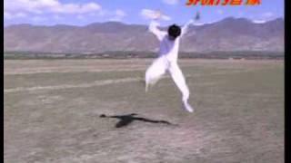San Lu Mizong Quan (Lost Track Fist Third Line)