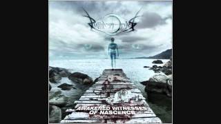 Ruthless Order - Shadowrain