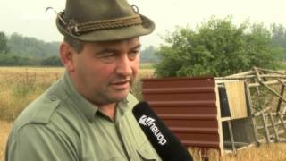 Militante Tierschützer? - Unbekannte zerstören Hochsitze von Jägern!