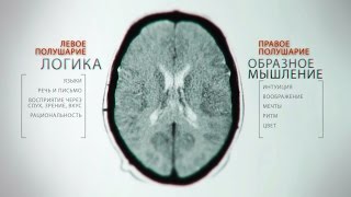 Тайны мозга. Фильм 4
