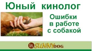 Юный кинолог. Экопарк фельдман. Ошибки в дрессировки собаки