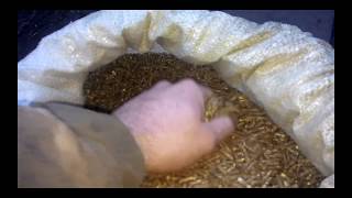 Твердый комбикорм для кроликов! Solid feed for rabbits!